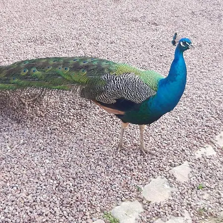 La Ferme De Frevan Prázdninový dům