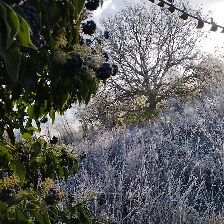 Prázdninový dům La Ferme De Frevan *