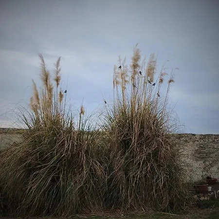 La Ferme De Frevan Feriehus *