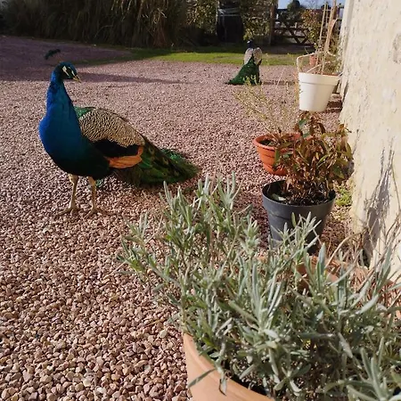 La Ferme De Frevan Holiday home Sarceaux