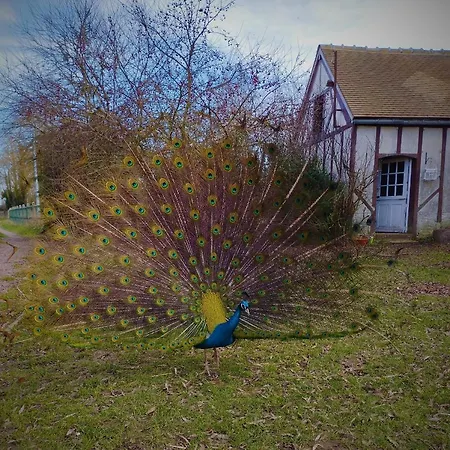 Tatil Evi La Ferme De Frevan Sarceaux