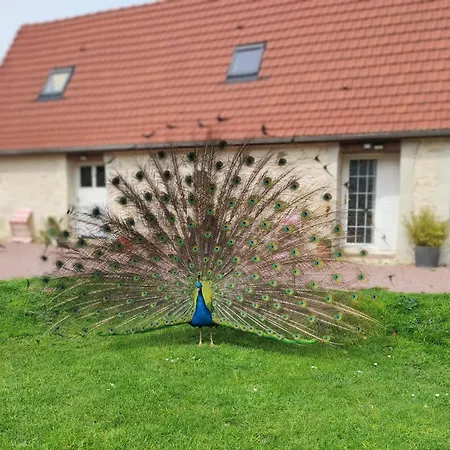 La Ferme De Frevan Tatil Evi *