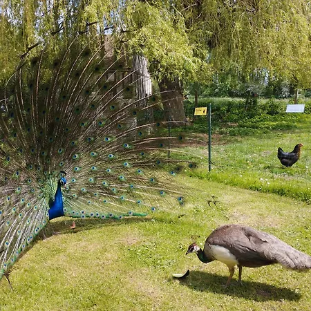 La Ferme De Frevan Sarceaux