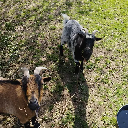 Feriehus La Ferme De Frevan *