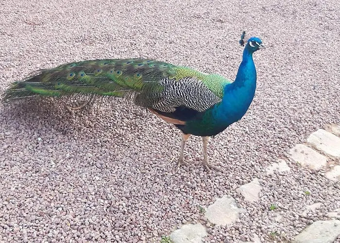 La Ferme De Frevan Nyaraló