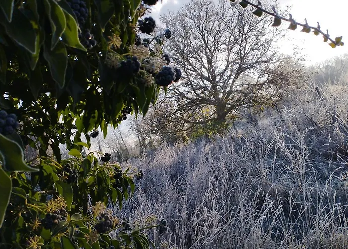 Nyaraló La Ferme De Frevan *