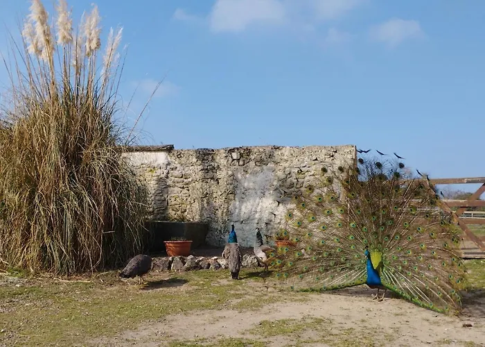 La Ferme De Frevan Nyaraló *