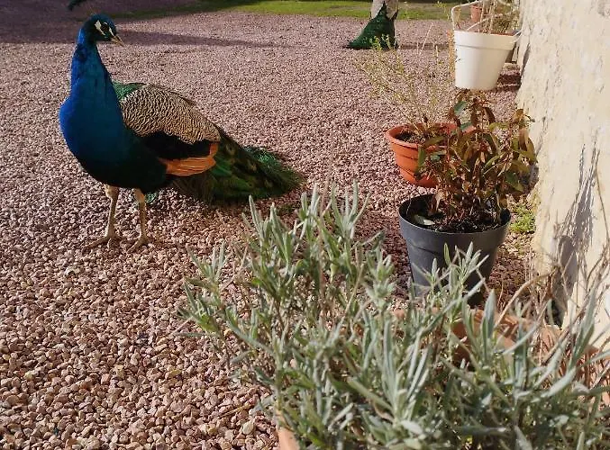 La Ferme De Frevan Nyaraló Sarceaux