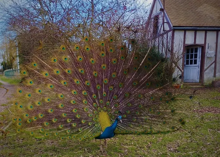 Nyaraló La Ferme De Frevan Sarceaux