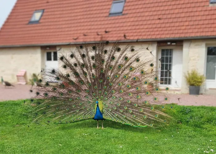 La Ferme De Frevan Nyaraló *