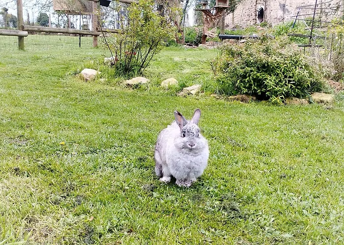 Nyaraló La Ferme De Frevan