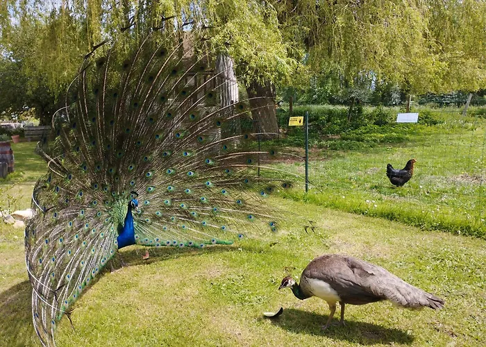 La Ferme De Frevan Sarceaux
