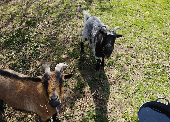 Nyaraló La Ferme De Frevan *